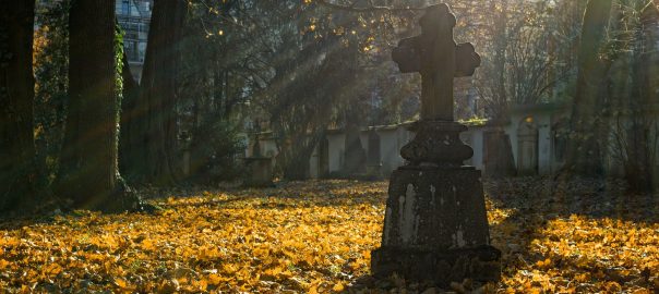 Die Ahrensböker Gill vun 1490 e.V. trauert um ihr Ehrenmitglied Herbert Stammer